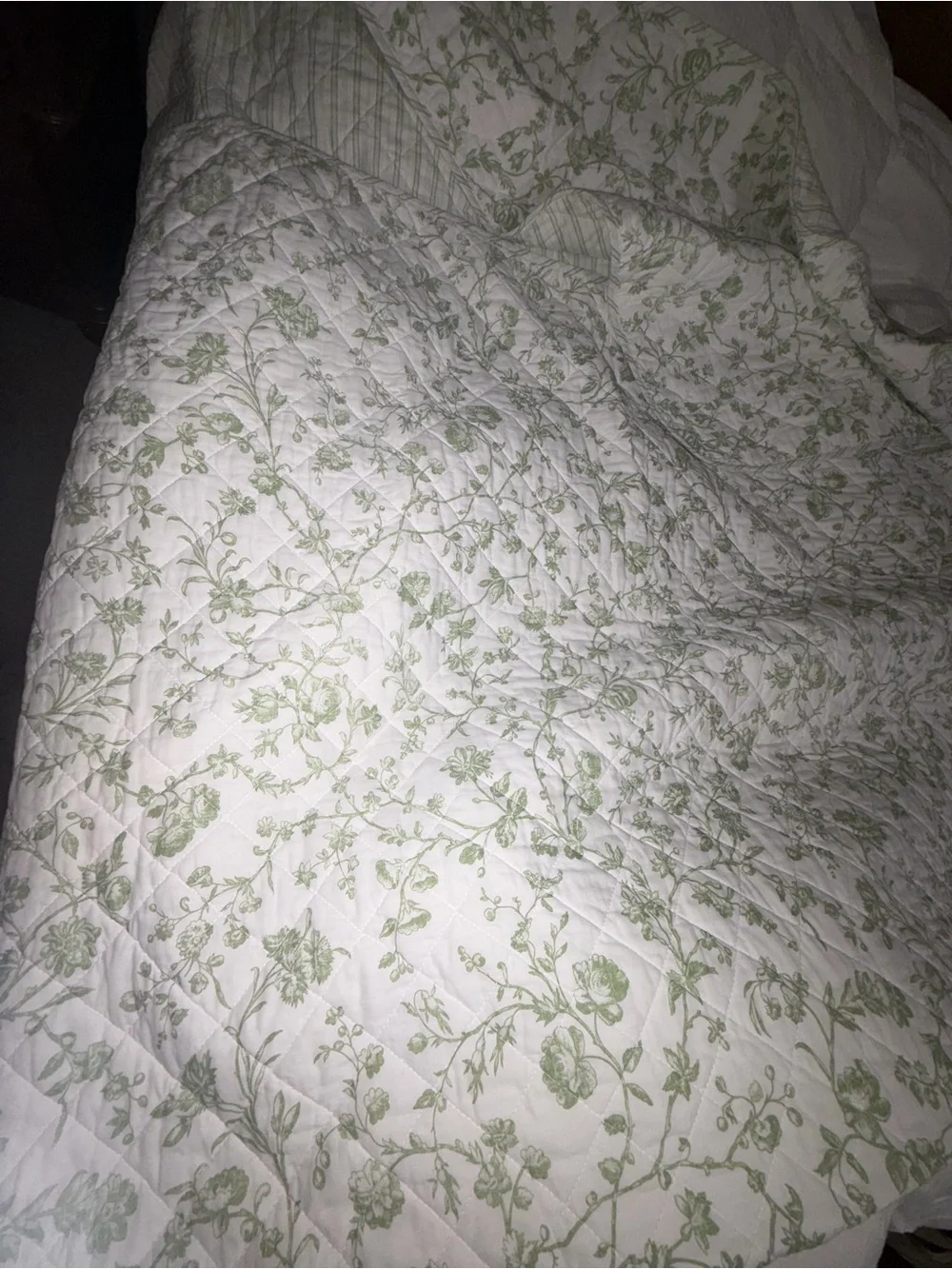 Like new Laura Ashley 3pc King Floral botanical Reversible 100% Cotton Quilt Set